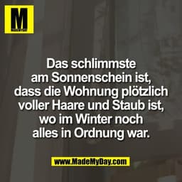 Das schlimmste
am Sonnenschein ist,
dass die Wohnung plötzlich
voller Haare und Staub ist,
wo im Winter noch
alles in Or