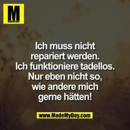 Ich muss nicht
repariert werden.
Ich funktioniere tadellos.
Nur eben nicht so,
wie andere mich
gerne hätten!
