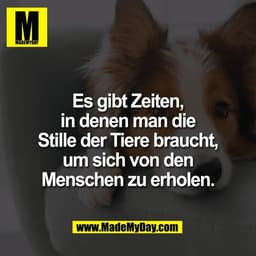 Es gibt Zeiten,
in denen man die
Stille der Tiere braucht,
um sich von den
Menschen zu erholen.