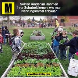 Sollten Kinder im Rahmen
ihrer Schulzeit lernen, wie man
Nahrungsmittel anbaut?
(BILD)