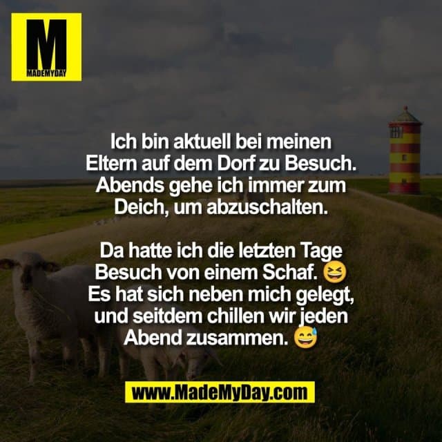Ich bin aktuell bei meinen
Eltern auf dem Dorf zu Besuch.
Abends gehe ich immer zum
Deich, um abzuschalten.
Da hatte ich die letzten Tage
Besuch von einem Schaf. 😆
Es hat sich neben mich gelegt,
und seitdem chillen wir jeden
Abend zusammen. 😅 - Inspiration, Zitate & Sprüche | MadeMyDay | Jetzt entdecken & teilen Ich bin aktuell bei meinen
Eltern auf dem Dorf zu Besuch.
Abends gehe ich immer zum
Deich, um abzuschalten.
Da hatte ich die letzten Tage
Besuch von einem Schaf. 😆
Es hat sich neben mich gelegt,
und seitdem chillen wir jeden
Abend zusammen. 😅 - Inspirierendes Zitat mit Bild