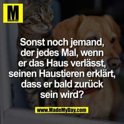 Sonst noch jemand,
der jedes Mal, wenn
er das Haus verlässt,
seinen Haustieren erklärt,
dass er bald zurück
sein wird?