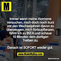 Immer wenn meine Hormone
versuchen, mich doch noch kurz
vor den Wechseljahren davon zu
überzeugen, mich fortzupflanzen,
