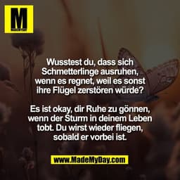 Wusstest du, dass sich
Schmetterlinge ausruhen,
wenn es regnet, weil es sonst
ihre Flügel zerstören würde?

Es ist okay,
