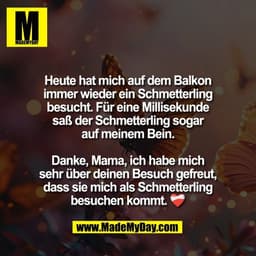 Heute hat mich auf dem Balkon
immer wieder ein Schmetterling
besucht. Für eine Millisekunde
saß der Schmetterling sogar
