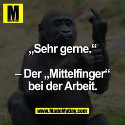 „Sehr gerne.“

– Der „Mittelfinger“
bei der Arbeit.