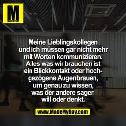 Meine Lieblingskollegen
und ich müssen gar nicht mehr
mit Worten kommunizieren.
Alles was wir brauchen ist
ein Blickkont