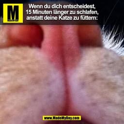 Wenn du dich entscheidest,
15 Minuten länger zu schlafen,
anstatt deine Katze zu füttern:
(BILD)