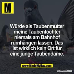Würde als Taubenmutter
meine Taubentochter
niemals am Bahnhof
rumhängen lassen. Das
ist wirklich kein Ort für
eine junge