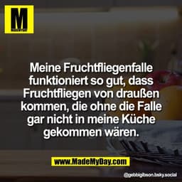 Meine Fruchtfliegenfalle
funktioniert so gut, dass
Fruchtfliegen von draußen
kommen, die ohne die Falle
gar nicht in mei