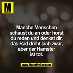 Manche Menschen
schaust du an oder hörst
du reden und denkst dir,
das Rad dreht sich zwar,
aber der Hamster
ist tot.