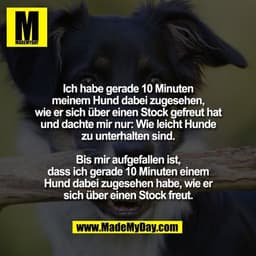 Ich habe gerade 10 Minuten
meinem Hund dabei zugesehen,
wie er sich über einen Stock gefreut hat
und dachte mir nur: Wie