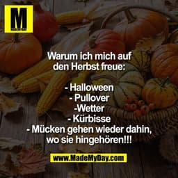 Warum ich mich auf
den Herbst freue:

- Halloween
- Pullover
-Wetter
- Kürbisse
- Mücken gehen wieder dahin,
wo sie hing