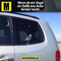 Wenn dir ein Vogel
ein Selfie ans Auto-
fenster kackt:
(BILD)
