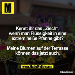 Kennt ihr das „Zisch“,
wenn man Flüssigkeit in eine
extrem heiße Pfanne gibt?

Meine Blumen auf der Terrasse
können das 