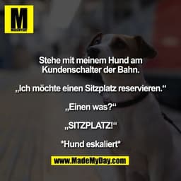 Stehe mit meinem Hund am
Kundenschalter der Bahn.

„Ich möchte einen Sitzplatz reservieren.“

„Einen was?“

„SITZPLATZ!“