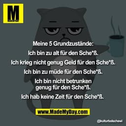 Meine 5 Grundzustände:

Ich bin zu alt für den Sche*ß.

Ich krieg nicht genug Geld für den Sche*ß.

Ich bin zu müde für 