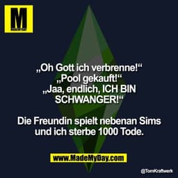 „Oh Gott ich verbrenne!“
„Pool gekauft!“
„Jaa, endlich, ICH BIN
SCHWANGER!“

Die Freundin spielt nebenan Sims
und ich st