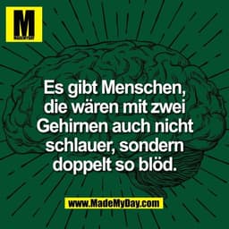 Es gibt Menschen,
die wären mit zwei
Gehirnen auch nicht
schlauer, sondern
doppelt so blöd.