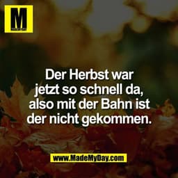 Der Herbst war
jetzt so schnell da,
also mit der Bahn ist
der nicht gekommen.