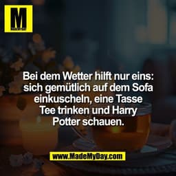Bei dem Wetter hilft nur eins:
sich gemütlich auf dem Sofa
einkuscheln, eine Tasse
Tee trinken und Harry
Potter schauen.