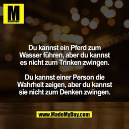 Du kannst ein Pferd zum
Wasser führen, aber du kannst
es nicht zum Trinken zwingen.

Du kannst einer Person die
Wahrheit