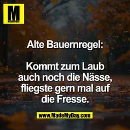 Alte Bauernregel:

Kommt zum Laub
auch noch die Nässe,
fliegste gern mal auf
die Fresse.