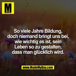 So viele Jahre Bildung,
doch niemand bringt uns bei,
wie wichtig es ist, sein
Leben so zu gestalten,
dass man glücklich 