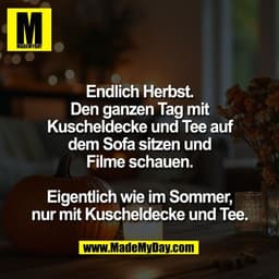 Endlich Herbst.
Den ganzen Tag mit
Kuscheldecke und Tee auf
dem Sofa sitzen und
Filme schauen.

Eigentlich wie im Sommer