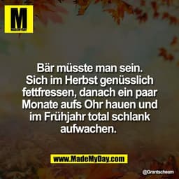 Bär müsste man sein.
Sich im Herbst genüsslich
fettfressen, danach ein paar
Monate aufs Ohr hauen und
im Frühjahr total 