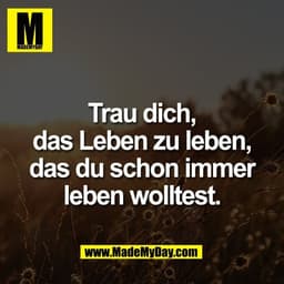 Trau dich,
das Leben zu leben,
das du schon immer
leben wolltest.