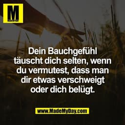 Dein Bauchgefühl
täuscht dich selten, wenn
du vermutest, dass man
dir etwas verschweigt
oder dich belügt.