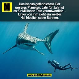 Das ist das gefährlichste Tier
unseres Planeten. Jahr für Jahr ist
es für Millionen Tote verantwortlich –
Links von ihm 