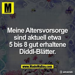 Meine Altersvorsorge
sind aktuell etwa
5 bis 8 gut erhaltene
Diddl-Blätter.

Threads: selinakristin