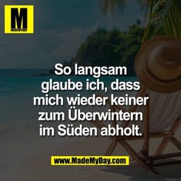 So langsam
glaube ich, dass
mich wieder keiner
zum Überwintern
im Süden abholt.