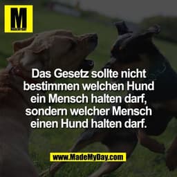 Das Gesetz sollte nicht
bestimmen welchen Hund
ein Mensch halten darf,
sondern welcher Mensch
einen Hund halten darf.