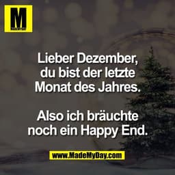 Lieber Dezember,
du bist der letzte
Monat des Jahres.

Also ich bräuchte
noch ein Happy End.