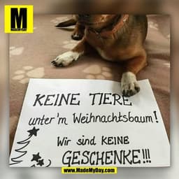 (BILD)