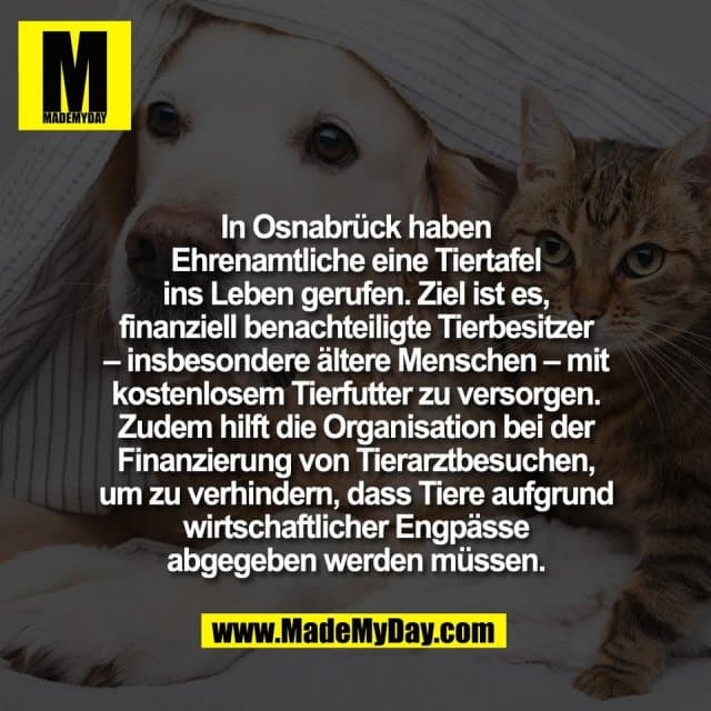 In Osnabrück haben
Ehrenamtliche eine Tiertafel
ins Leben gerufen. Ziel ist es,
finanziell benachteiligte Tierbesitzer
– insbesondere ältere Menschen – mit
kostenlosem Tierfutter zu versorgen.
Zudem hilft die Organisation bei der
Finanzierung von Tierarztbesuchen,
um zu verhindern, dass Tiere aufgrund
wirtschaftlicher Engpässe
abgegeben werden müssen. - Inspiration, Zitate & Sprüche | MadeMyDay | Jetzt entdecken & teilen In Osnabrück haben
Ehrenamtliche eine Tiertafel
ins Leben gerufen. Ziel ist es,
finanziell benachteiligte Tierbesitzer
– insbesondere ältere Menschen – mit
kostenlosem Tierfutter zu versorgen.
Zudem hilft die Organisation bei der
Finanzierung von Tierarztbesuchen,
um zu verhindern, dass Tiere aufgrund
wirtschaftlicher Engpässe
abgegeben werden müssen. - Inspirierendes Zitat mit Bild