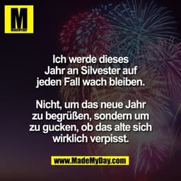 Ich werde dieses
Jahr an Silvester auf
jeden Fall wach bleiben.

Nicht, um das neue Jahr
zu begrüßen, sondern um
zu guck