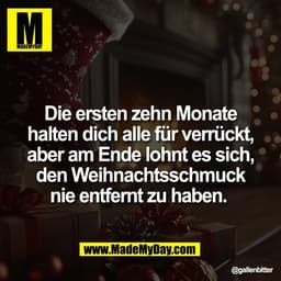 Die ersten zehn Monate
halten dich alle für verrückt,
aber am Ende lohnt es sich,
den Weihnachtsschmuck
nie entfernt zu 