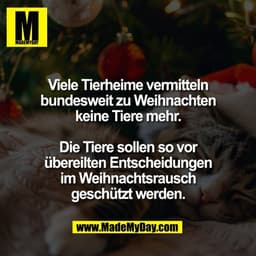 Viele Tierheime vermitteln
bundesweit zu Weihnachten
keine Tiere mehr.

Die Tiere sollen so vor
übereilten Entscheidunge