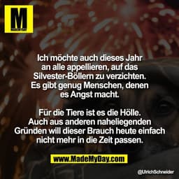 Ich möchte auch dieses Jahr
an alle appellieren, auf das
Silvester-Böllern zu verzichten.
Es gibt genug Menschen, denen
