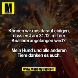Können wir uns darauf einigen,
dass erst am 31.12. mit der
Knallerei angefangen wird?!

Mein Hund und alle anderen
Tiere