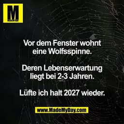 Vor dem Fenster wohnt
eine Wolfsspinne.
Deren Lebenserwartung
liegt bei 2-3 Jahren.
Lüfte ich halt 2027 wieder.