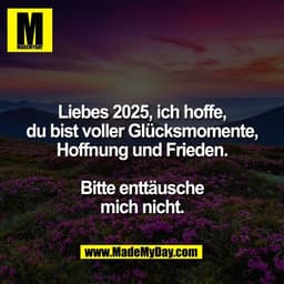 Liebes 2025, ich hoffe,
du bist voller Glücksmomente,
Hoffnung und Frieden.

Bitte enttäusche
mich nicht.