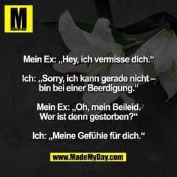 Mein Ex: „Hey, ich vermisse dich.“

Ich: „Sorry, ich kann gerade nicht –
bin bei einer Beerdigung.“

Mein Ex: „Oh, mein 
