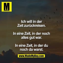 Ich will in der
Zeit zurückreisen.

In eine Zeit, in der noch
alles gut war.

In eine Zeit, in der du
noch da warst.