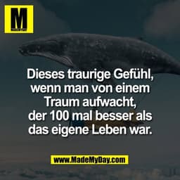 Dieses traurige Gefühl,
wenn man von einem
Traum aufwacht,
der 100 mal besser als
das eigene Leben war.