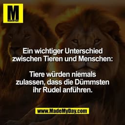 Ein wichtiger Unterschied
zwischen Tieren und Menschen:

Tiere würden niemals
zulassen, dass die Dümmsten
ihr Rudel anfü